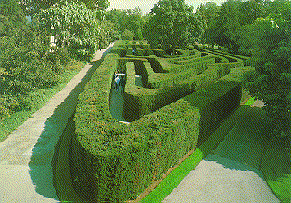 Hampton Court maze